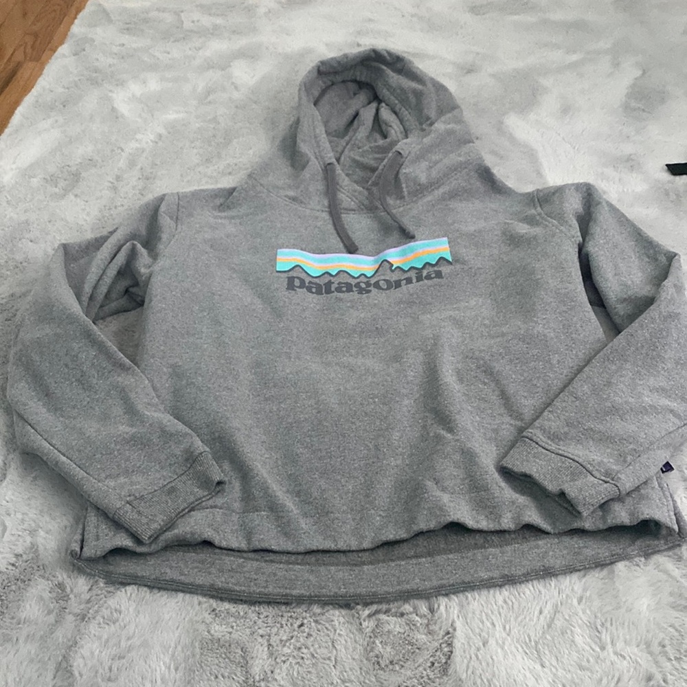women’s Patagonia hoodie